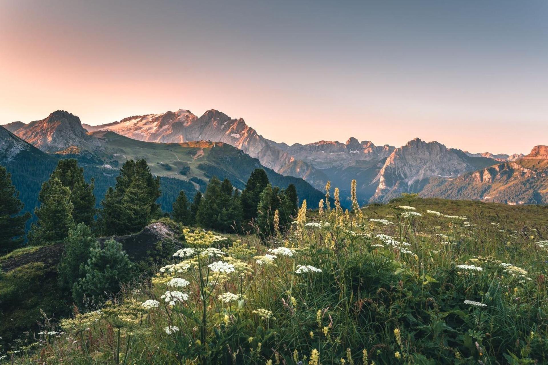 B&B Cesa Planber Mountain View Bike Friendly Канацеї Екстер'єр фото